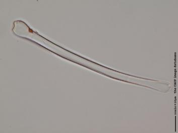 A112.1.JPG