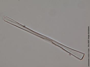 A112.2.JPG