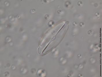 A119.1.JPG