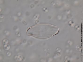 A119.2.JPG