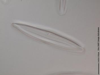A124.1.JPG