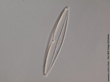 A125.3.JPG