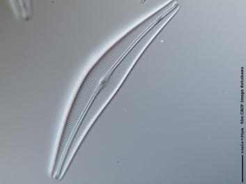 A332.2.JPG