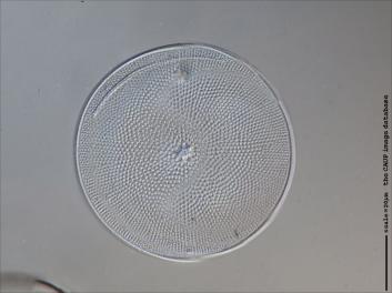 A407.3-7.jpg