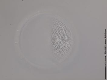 A415.3.JPG