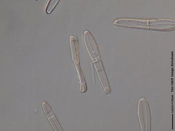B101.10.JPG