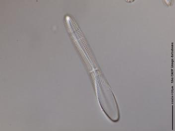 B101.3.JPG