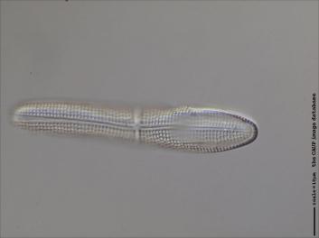B101.7-9.jpg