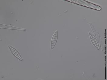 B102.2.JPG