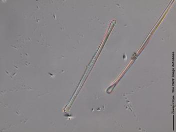 B106.1.JPG