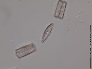 B108.4.JPG