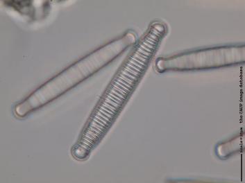 B110.1.JPG