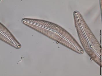 B111.1.JPG