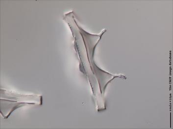 B112.1-6.jpg