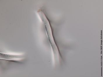 B112.1.JPG