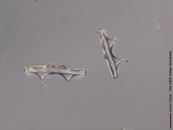 B112.7.JPG