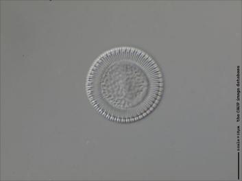 B113.2-3.jpg