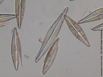 B116.1.JPG