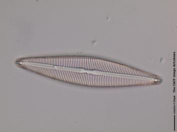 B117.2.JPG