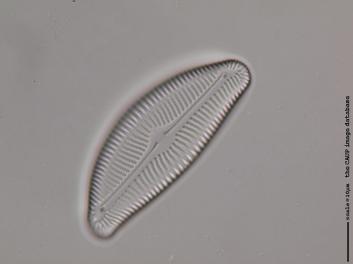 B119.1.JPG