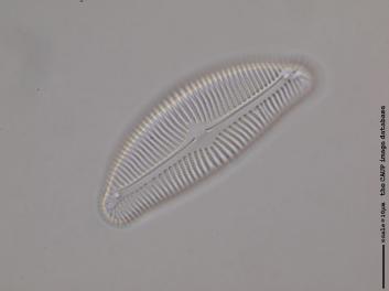 B119.2.JPG