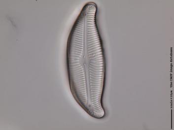 B120.6.JPG