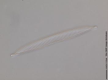 B125.1.JPG