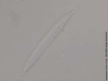 B125.2.JPG