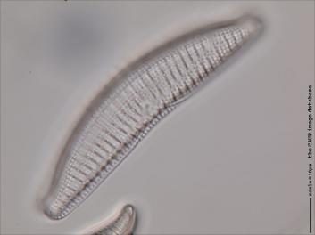 B129.1-3.jpg