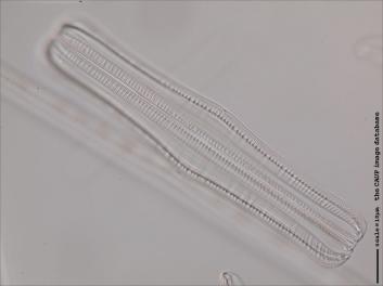 B129.5-6.jpg