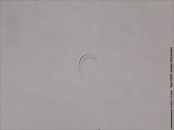 B131.7-8.jpg