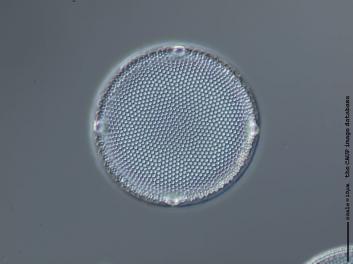 B212.2.JPG