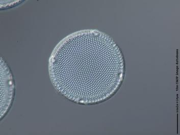 B212.3.JPG