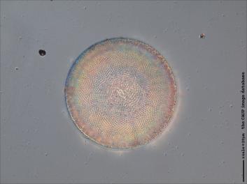 B213.2-4.jpg