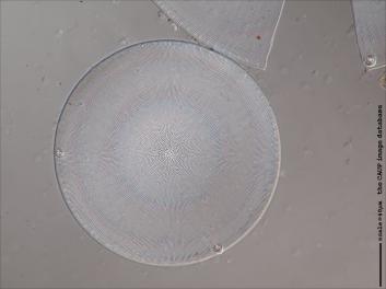 B214.2-5.jpg