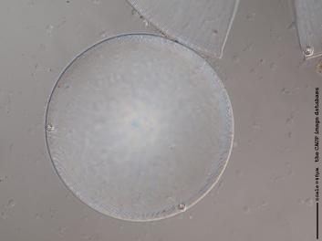 B214.5.JPG