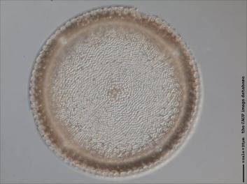 B216.2-3.jpg