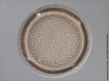 B216.4-6.jpg
