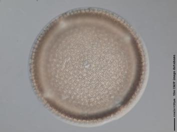 B216.6.JPG