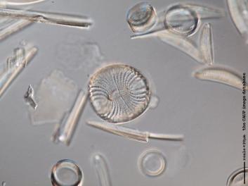 B219.5.JPG