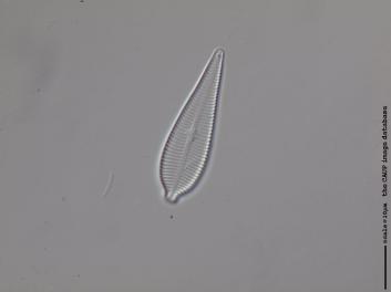 B223.1.JPG
