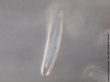 B232.5.JPG