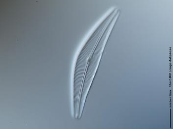 B235.1.JPG