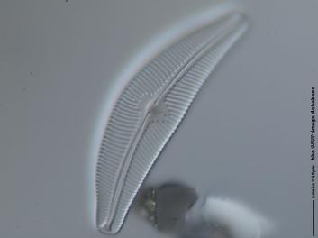 B235.2.JPG