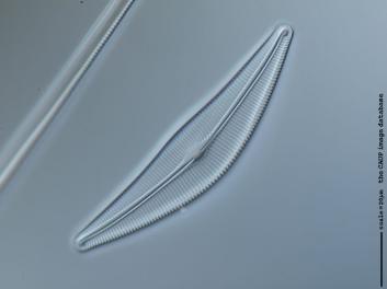 B235.3.JPG