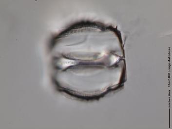 B301.5.JPG