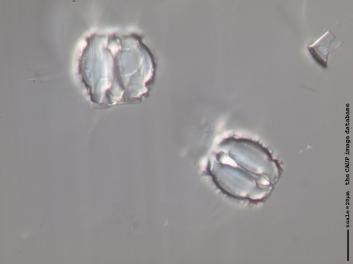 B301.8.JPG