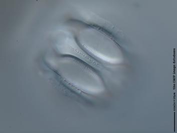 B302.1.JPG