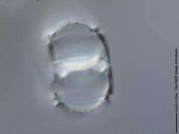 B302.4.JPG