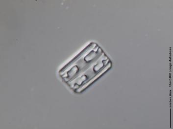 B303.1.JPG